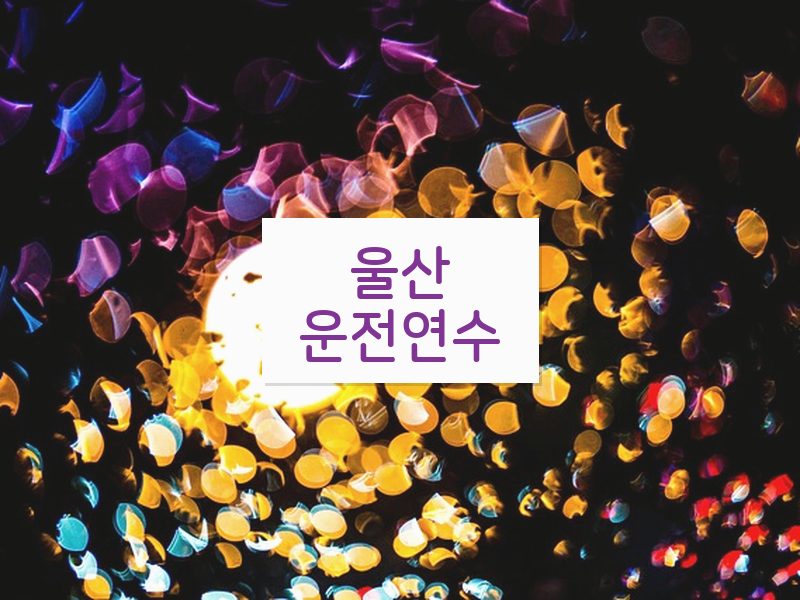 울산운전연수 후기