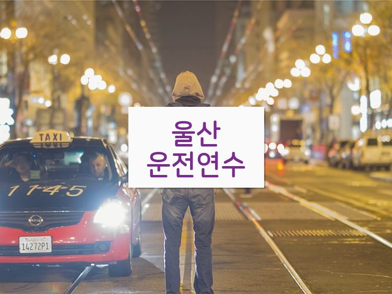 울산운전연수 후기