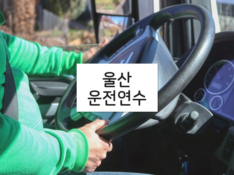 울산운전연수 후기