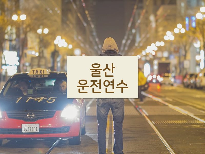 울산운전연수 후기