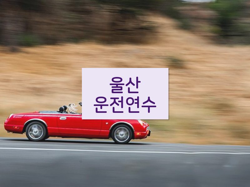울산운전연수 후기