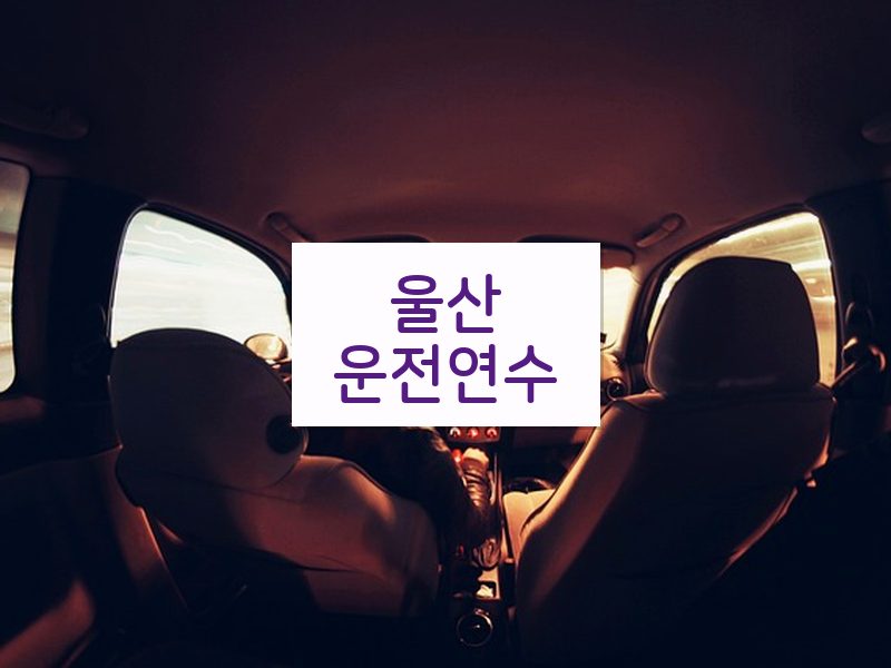 울산운전연수 후기