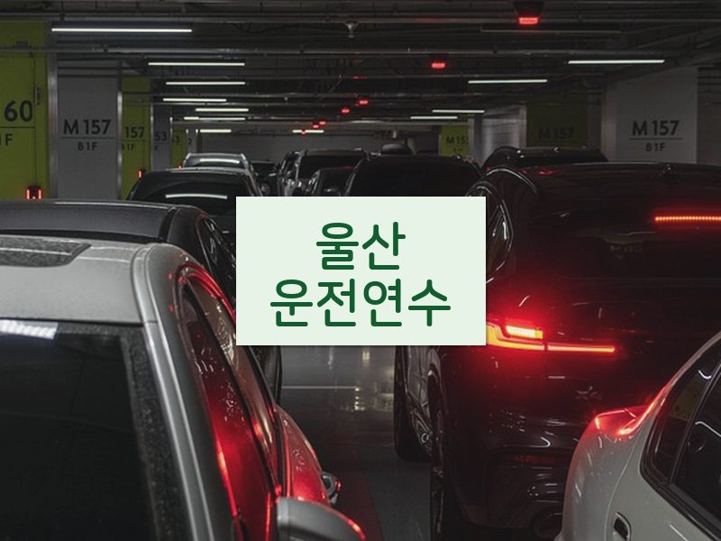 울산운전연수 후기