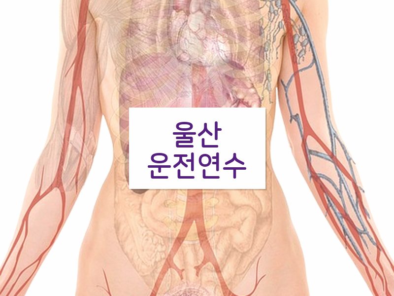 울산운전연수 후기