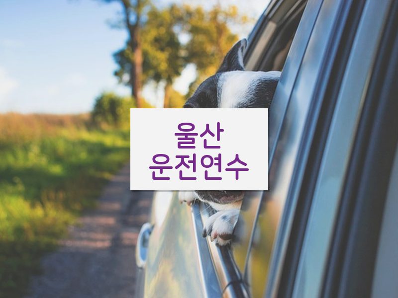 울산운전연수 후기
