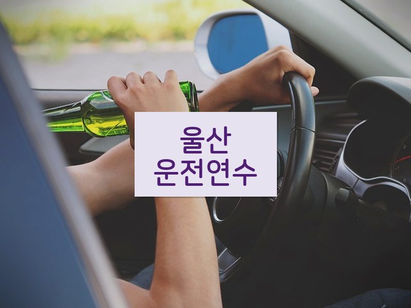 울산운전연수 후기