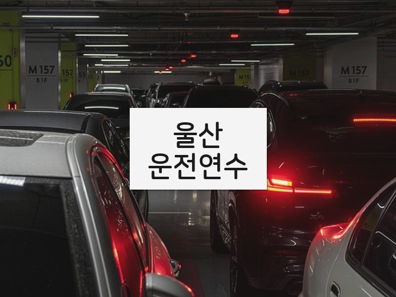 울산운전연수 후기