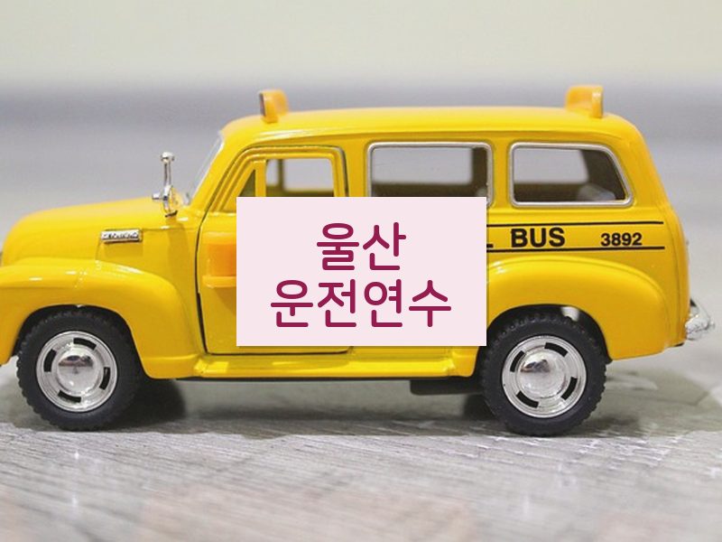 울산운전연수 후기