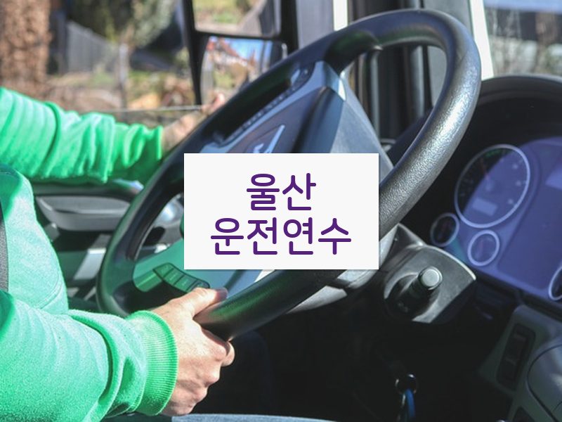 울산운전연수 후기