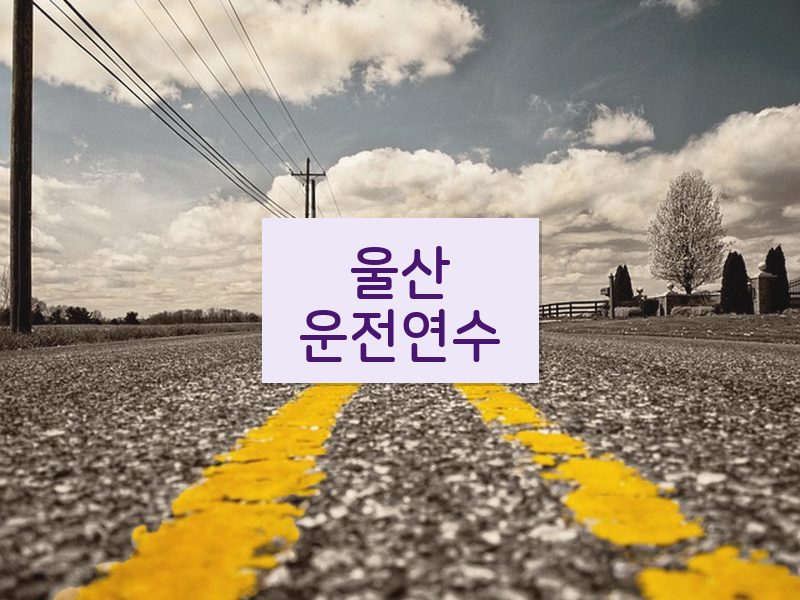 울산운전연수 후기